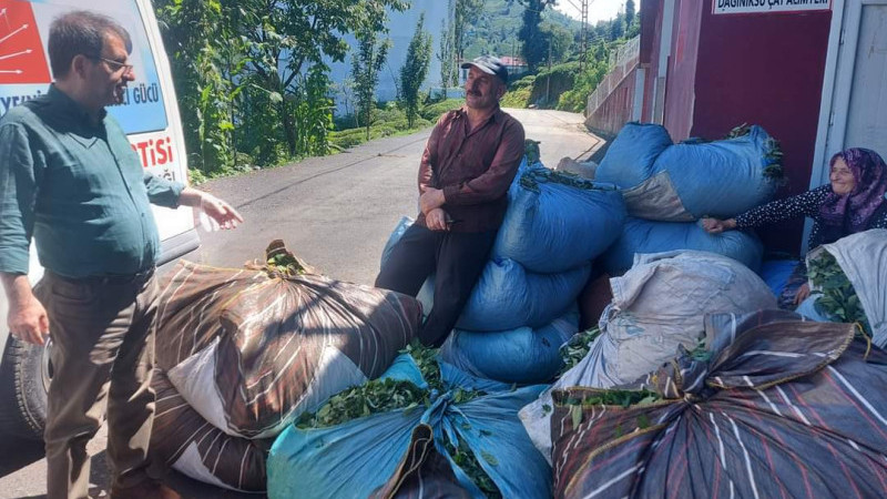 CHP Rize İl Başkanı Deniz ; Çay Üreticilerimizin sorunlarını çözmek için bir araya gelelim...